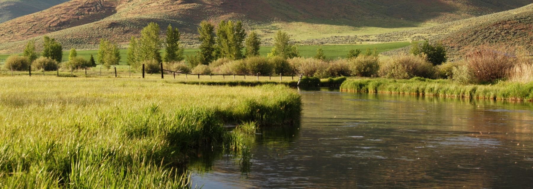 The Silver Creek Net – Snake River Net Company